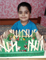 Farm houses activity