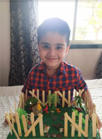 Farm houses activity