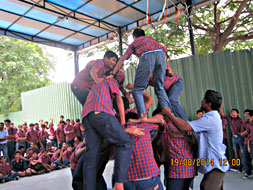 Dahi-Handi Celebration